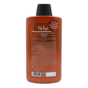 شامپو تثبیت کننده موهای قهوه ای فولیکا | Fulica Hot Brunette Shampoo